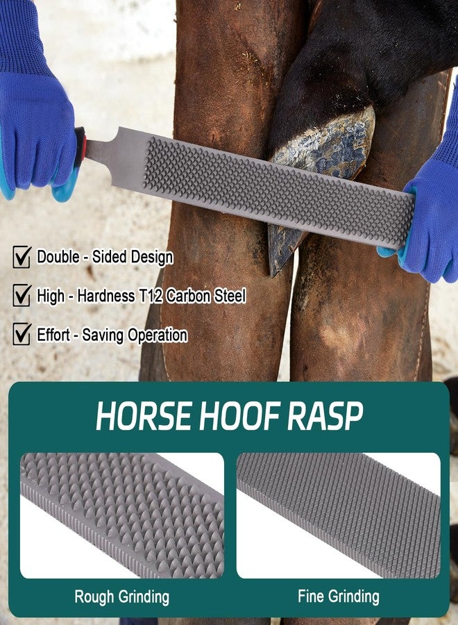 Epidioxi 14-inchHorse Farrier Tool Kit - 7pcs, Carbon Steel Hoof Nipper, Rasp File, Hoof Trimmers, 2 Brushes, Storage Bag & Gloves for Horse, Goat, Pig, Donkey - Image 3
